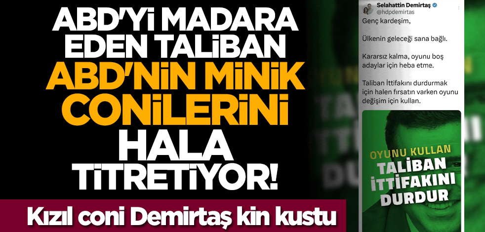 ABD'yi madara eden Taliban, ABD'nin minik conilerini hala titretiyor! Kızıl coni Demirtaş kin kustu