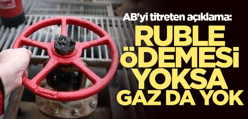 AB'yi titreten açıklama: Ruble ödemesi yoksa gaz da yok