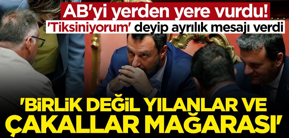 AB'yi yerden yere vurdu: Birlik değil yılanlar ve çakallar mağarası