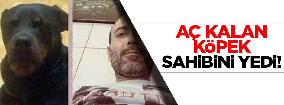 Aç kalan köpek kendini asan adamı yemiş!