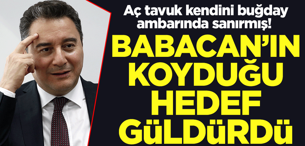 Aç tavuk kendini buğday ambarında sanırmış! Ali Babacan'ın koyduğu hedef güldürdü