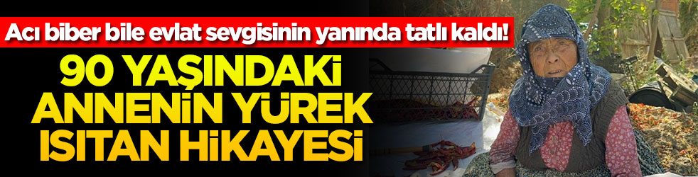 Acı biber bile evlat sevgisinin yanında tatlı kaldı! 90 yaşındaki annenin yürek ısıtan hikayesi