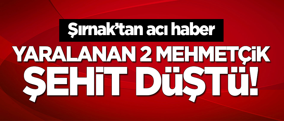 Acı haber: Yaralanan 2 Mehmetçik şehit düştü!