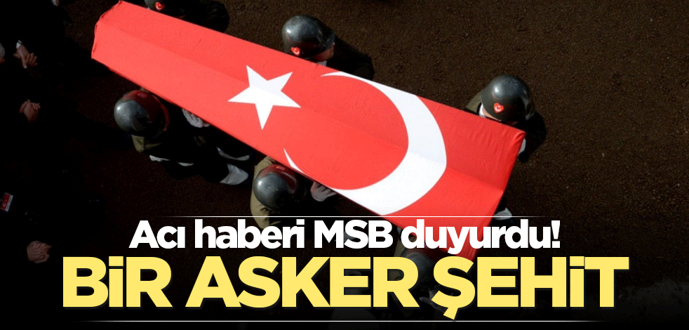 Acı haberi MSB duyurdu! Bir asker şehit