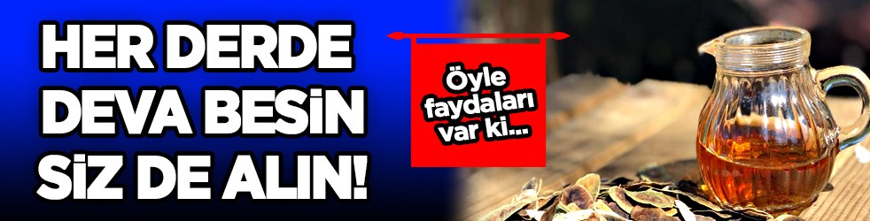 Açlık otu faydaları, ne işe yarar? Nasıl kullanılır? Cebinde, mutfağında şifa var! Ezber bozdu