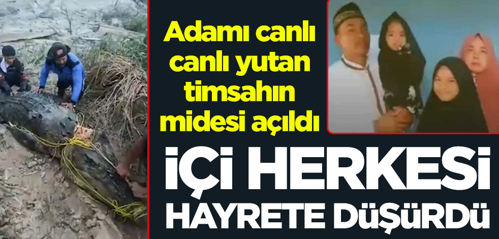 Adamı canlı canlı yutan timsahın açılan midesi herkesi hayrete düşürdü
