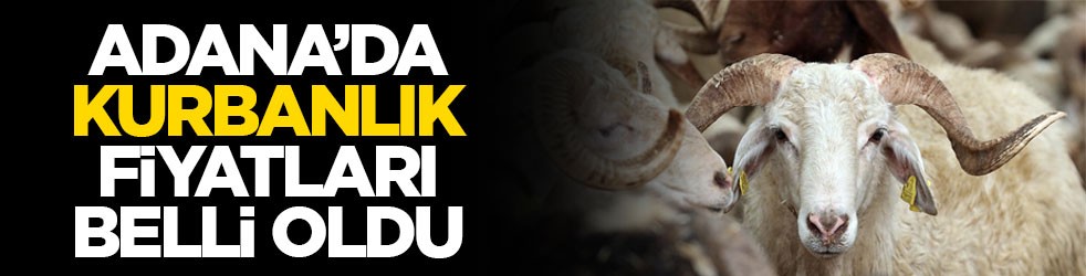 Adana'da kurbanlık fiyatları belli oldu