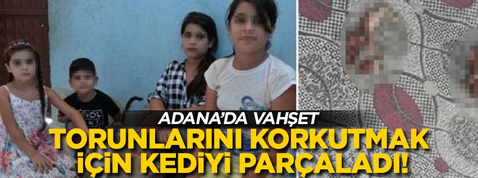 Adana'da vahşet! Torunlarını korkutmak için kediyi parçaladı!