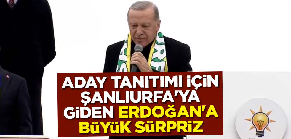 Aday tanıtımı için Şanlıurfa'ya giden Erdoğan'a büyük sürpriz! Coşkulu kalabalığa hitap etti