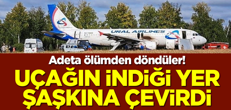 Adeta ölümden döndüler! Uçağın indiği yer şaşkına çevirdi