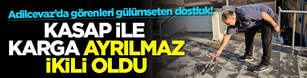Adilcevaz’da görenleri gülümseten dostluk: Kasap ile karga ayrılmaz ikili oldu