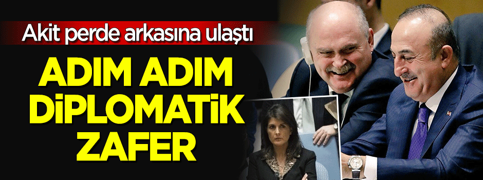 Adım adım diplomatik zafer