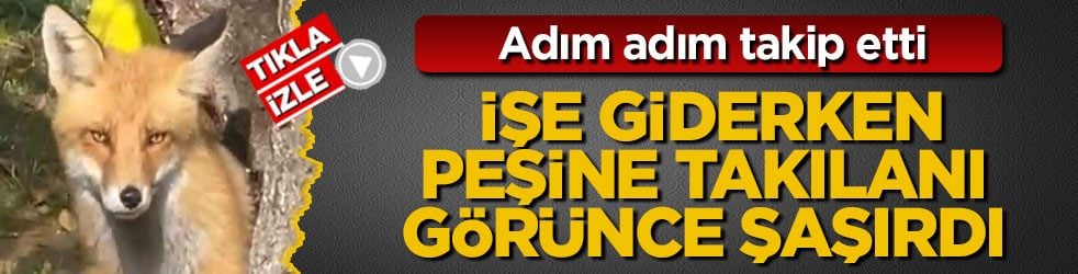 Adım adım takip etti! İşe giderken peşine takılanı görünce şaşırdı