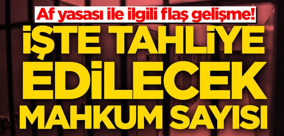Af yasası ile ilgili flaş gelişme! İşte tahliye edilecek mahkum sayısı