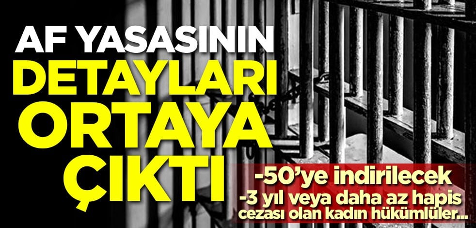 Af yasasının detayları belli oldu