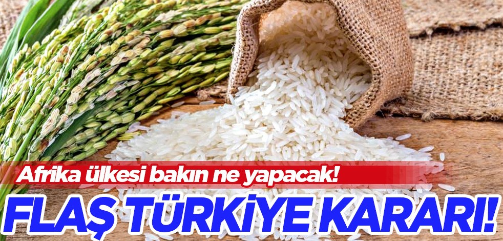 Afrika kıtasının incisi Fildişi Sahili, pirinç satın almak için Türkiye'nin kapısını çaldı! Türk üretici arıyor