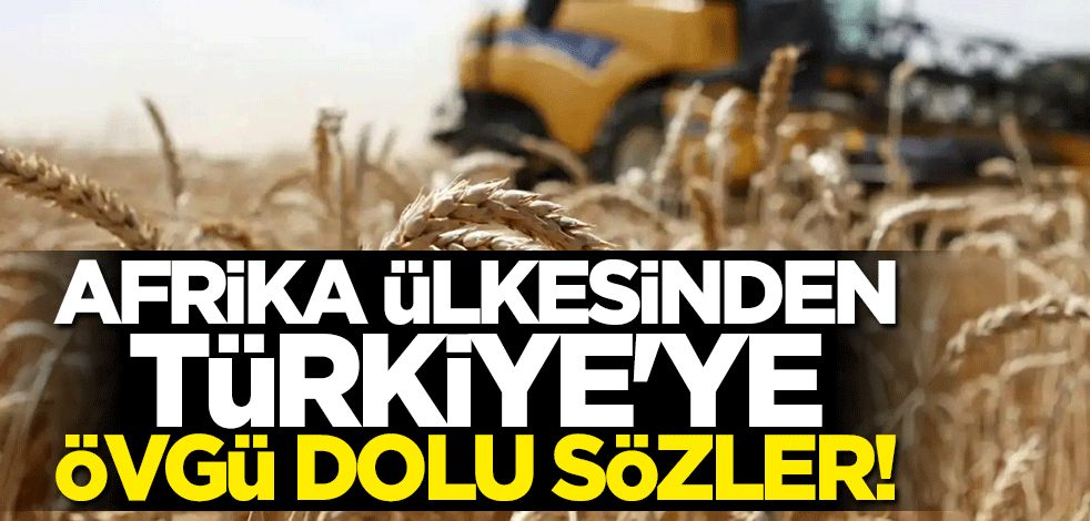 Afrika ülkesinden Türkiye'ye övgü dolu sözler