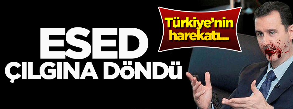 Afrin Harekatı, Esed'i çıldırttı! Türkiye'nin harekatı...