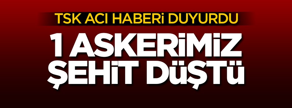 Afrin'de 1 askerimiz şehit düştü