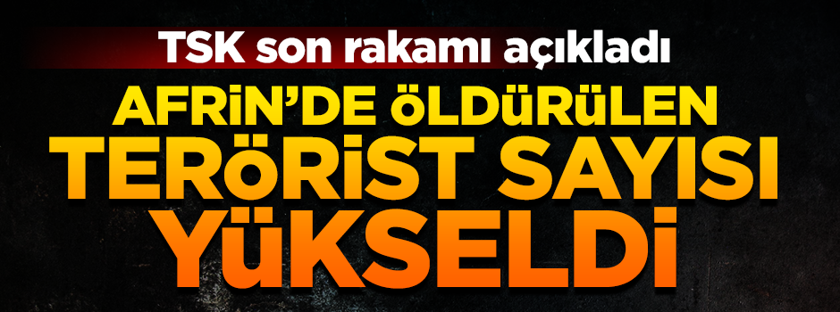 Afrin'de öldürülen terörist sayısı 790'a yükseldi