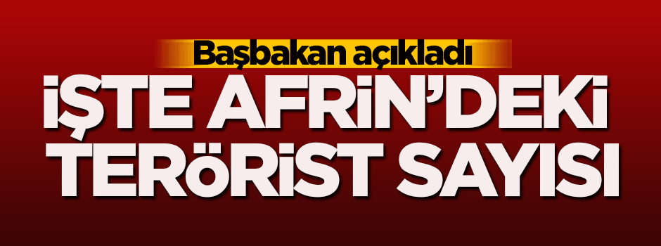 Afrin'deki terörist sayısı açıklandı!