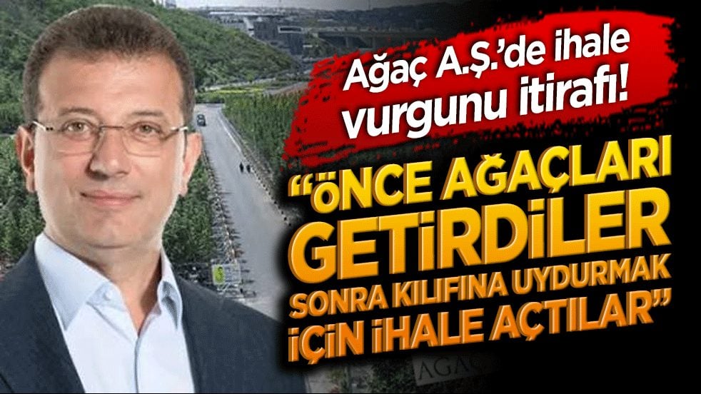 Ağaç A.Ş.’de ihale vurgunu itirafı!: “önce ağaçları getirdiler, sonra kılıfına uydurmak için ihale açtılar!”