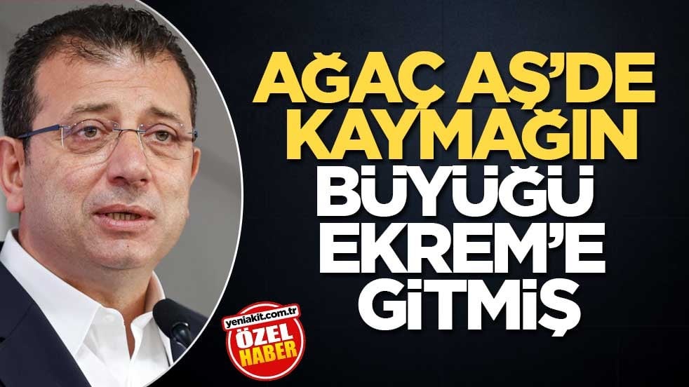 Ağaç AŞ’de kaymağın büyüğü Ekrem’e gitmiş