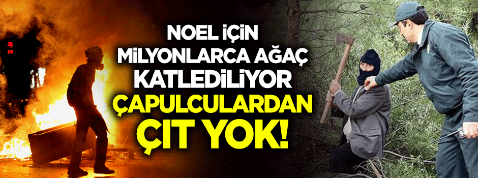 Ağaç canavarları!