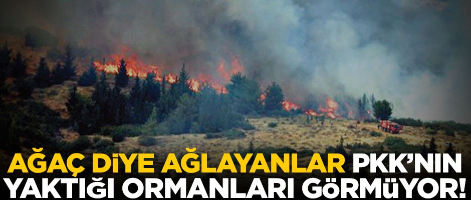 Ağaç diye ağlayanlar PKK’nın yaktığı ormanları görmüyor!