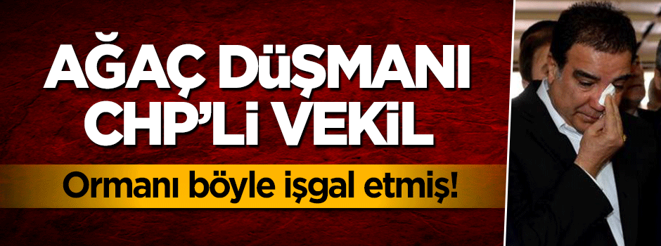 Orman işgalcisi CHP milletvekili!