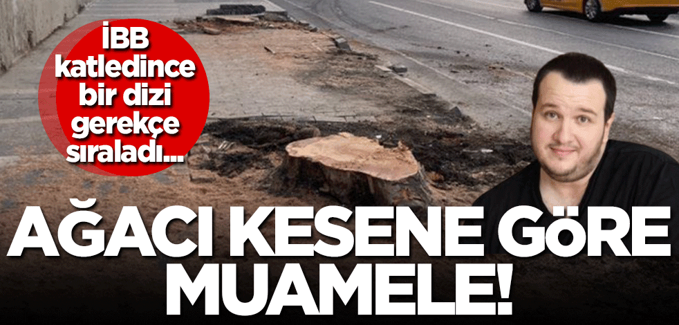 Ağaç kesene göre muamele! Şahan Gökbakar İBB'nin ağaç katliamına bir dizi gerekçe sıraladı