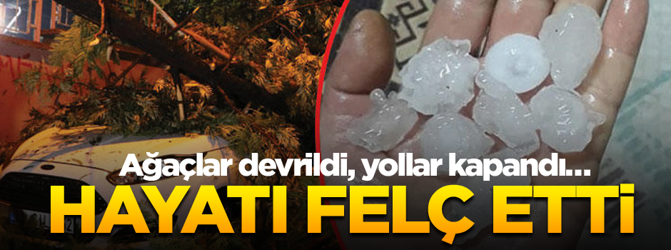 Ağaçlar devrildi, yollar kapandı… Hayatı felç etti