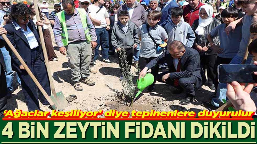 ‘Ağaclar kesiliyor’ diye tepinenlere duyurulur 4 bin zeytin fidanı dikildi