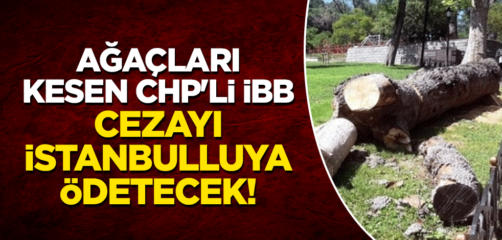 Ağaçları kesen CHP'li İBB, cezayı İstanbulluya ödetecek!