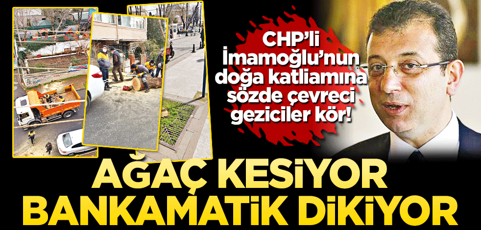 Ağaçları kesiyor bankamatik dikiyor CHP’li İmamoğlu’nun doğa katliamına sözde çevreci geziciler kör!