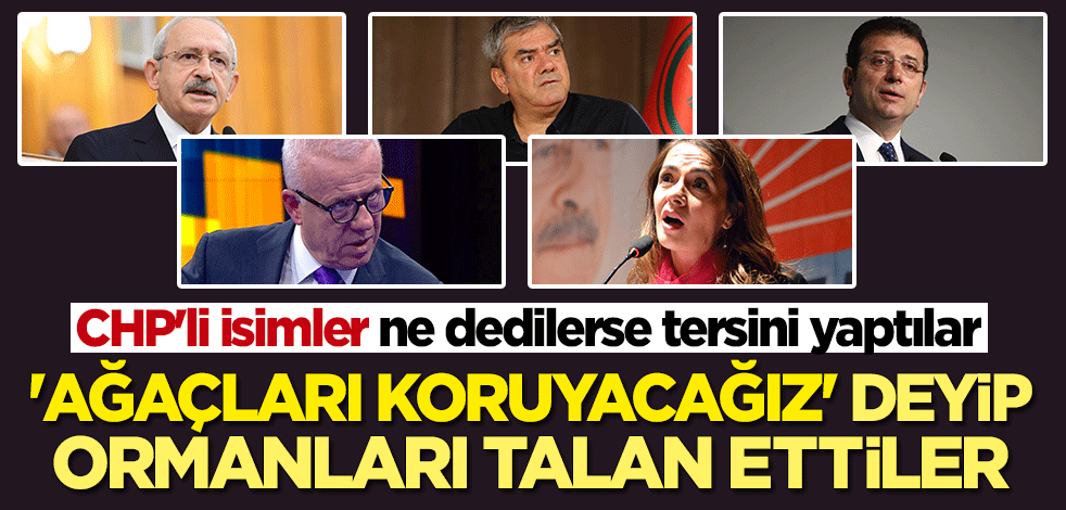 "Ağaçları koruyacağız" deyip ormanları talan ettiler! CHP'li isimler ne dedilerse tersini yaptılar