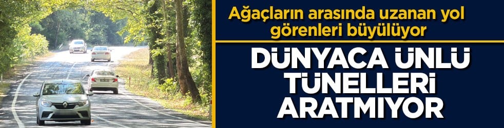 Ağaçların arasında uzanan yol görenleri büyülüyor! Dünyaca ünlü tünelleri aratmıyor