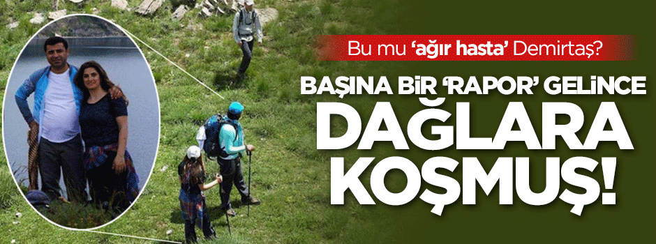 'Ağır hasta' Başak Demirtaş dağa çıkmış!