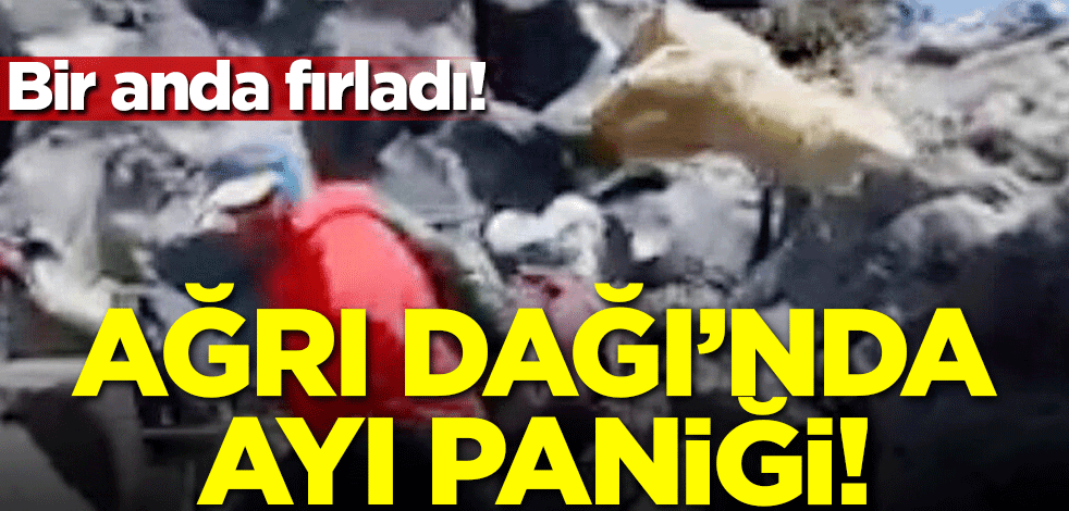 Ağrı Dağı'nda ayı paniği! Bir anda fırladı