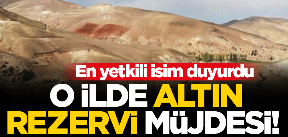 Ağrı'dan altın rezervi müjdesi! En yetkili isim duyurdu