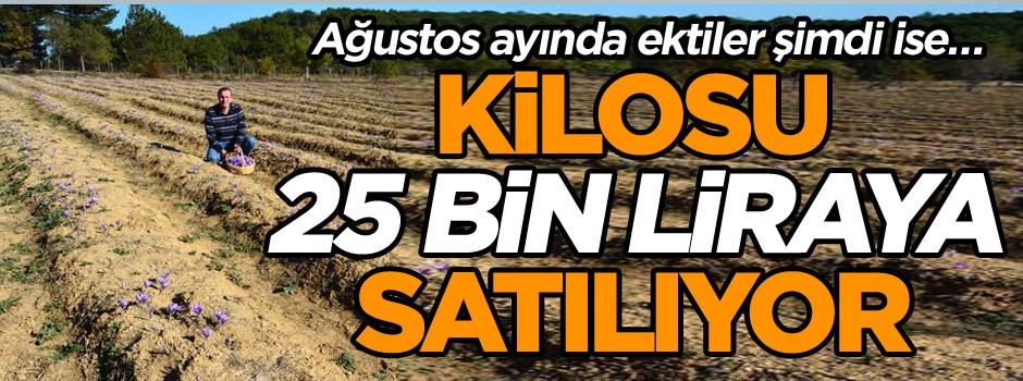 Ağustos ayında ektiler şimdi ise… Kilosu 25 bin liraya satılıyor