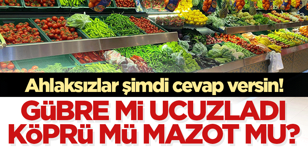 Ahlaksızlar şimdi cevap versin! Gübre mi ucuzladı, köprü fiyatları mı mazot mu?