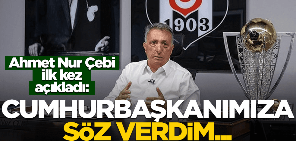 Ahmet Nur Çebi, Erdoğan'a verdiği sözü açıkladı