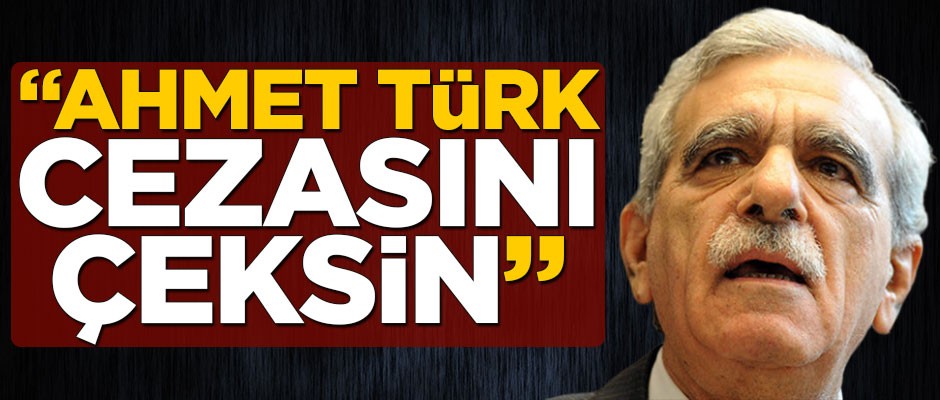 ‘Ahmet Türk cezasını çeksin!’