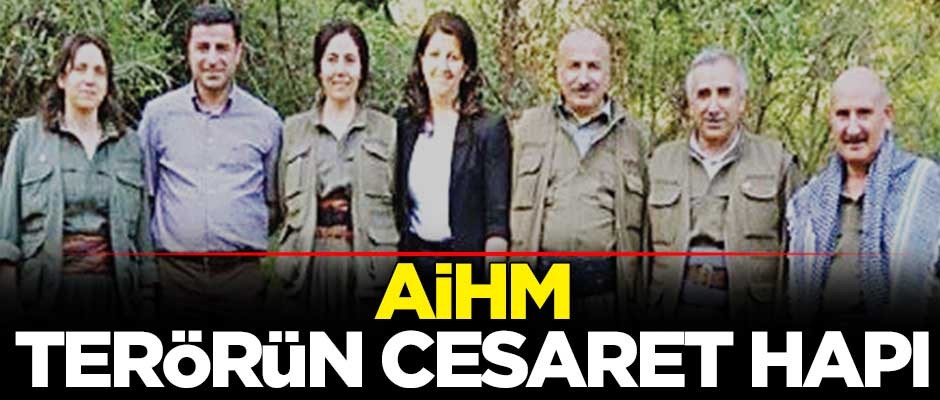 AİHM terörün cesaret hapı