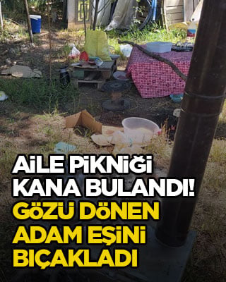 Aile pikniği kana bulandı! Gözü dönen adam eşini bıçakladı