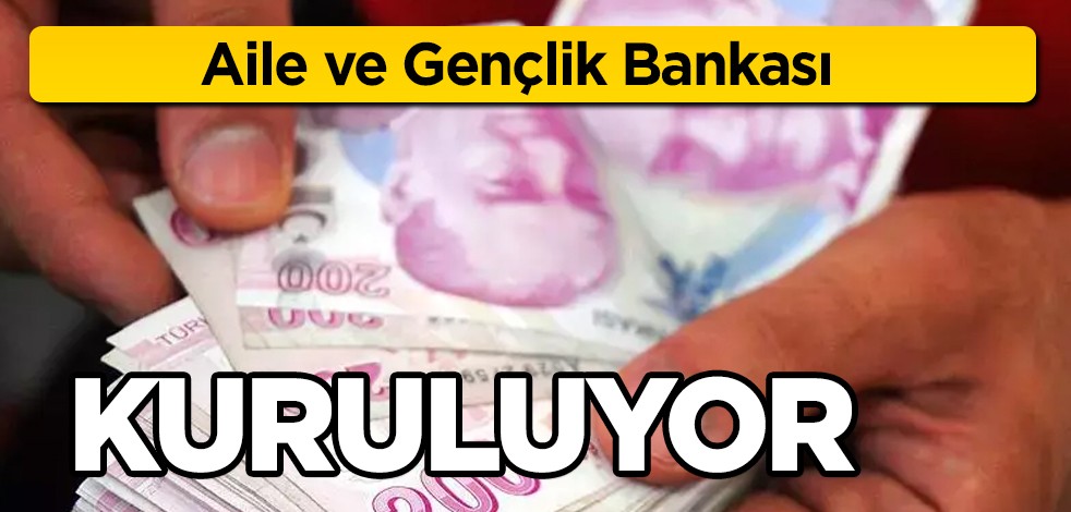 Aile ve gençlik bankası kuruluyor: Ev hanımları için emeklilik, gençlere yönelik pilot projelere destek verilecek