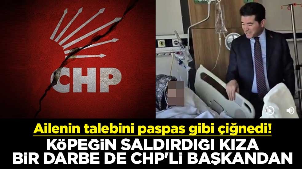 Ailenin talebini paspas gibi çiğnedi! Köpeğin saldırdığı kıza bir darbe de CHP'li başkandan