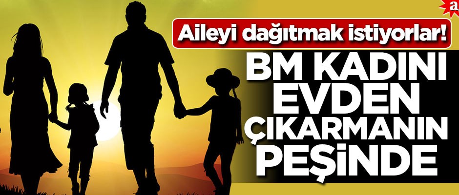 Aileyi dağıtmak istiyorlar! BM, kadını evden çıkarmanın peşinde