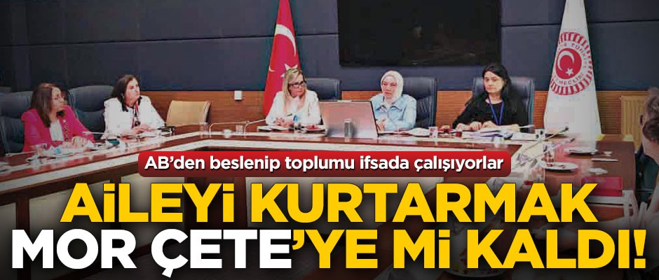 Aileyi kurtarmak Mor Çete’ye mi kaldı!